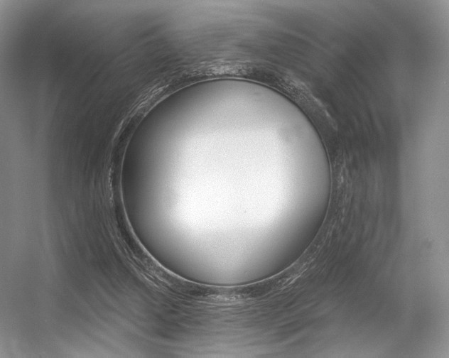 X0000056360250200508260953