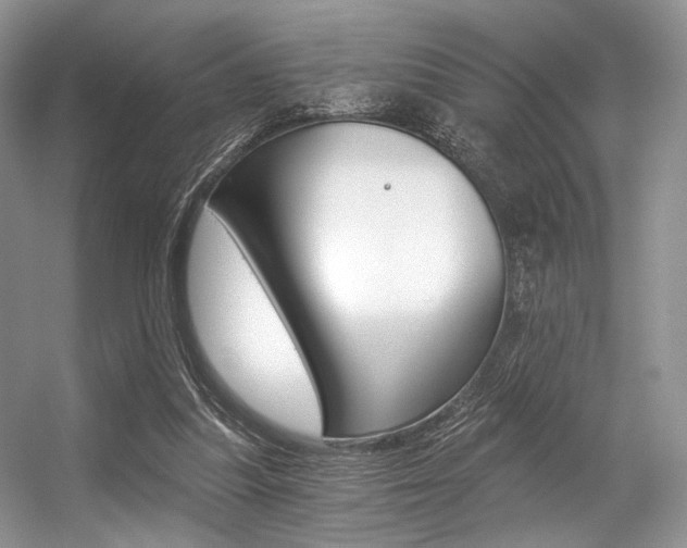X0000056360251200508260953