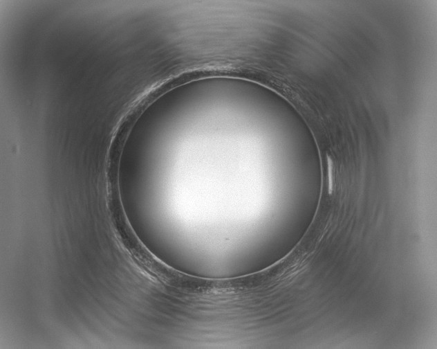 X0000056360252200508260953