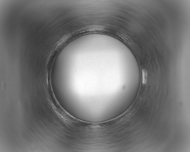 X0000056360253200508260953