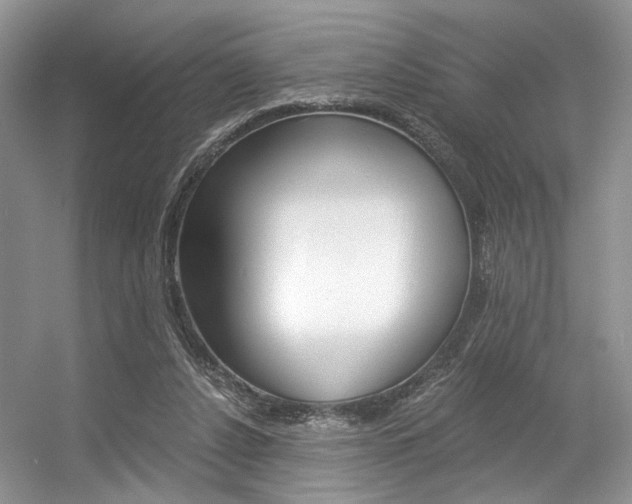 X0000056360256200508260953