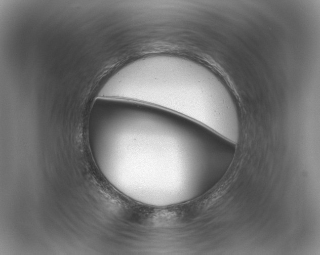 X0000056360257200508260953