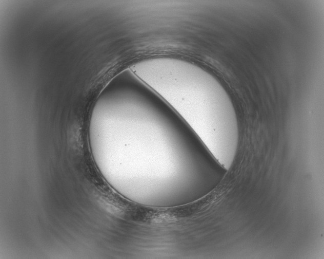 X0000056360258200508260953