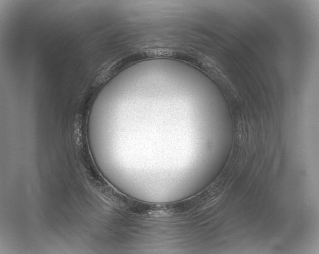 X0000056360259200508260953