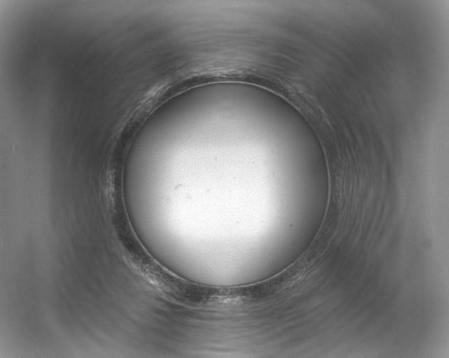 X0000056360260200508260953