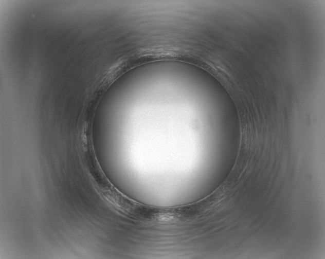 X0000056360264200508260954