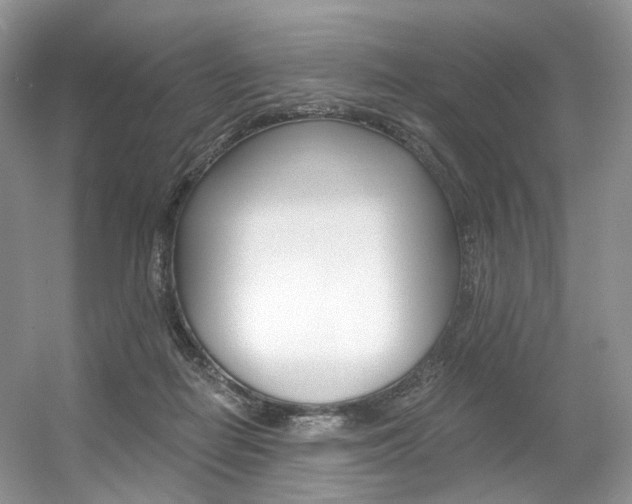 X0000056360266200508260954