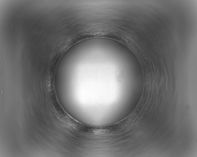 X0000056360268200508260954