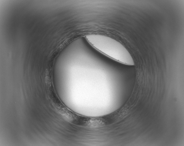 X0000056360270200508260954