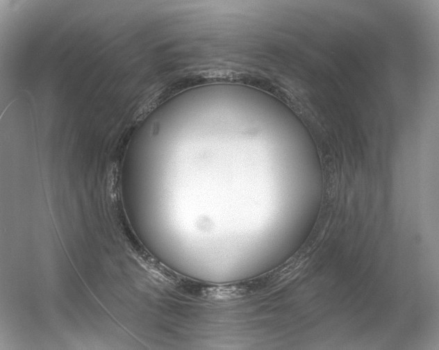 X0000056360273200508260954