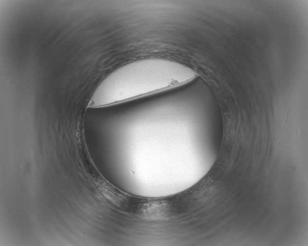 X0000056360274200508260954
