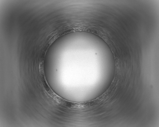 X0000056360276200508260954