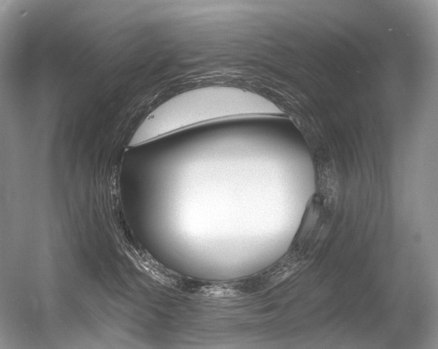 X0000056360284200508260954