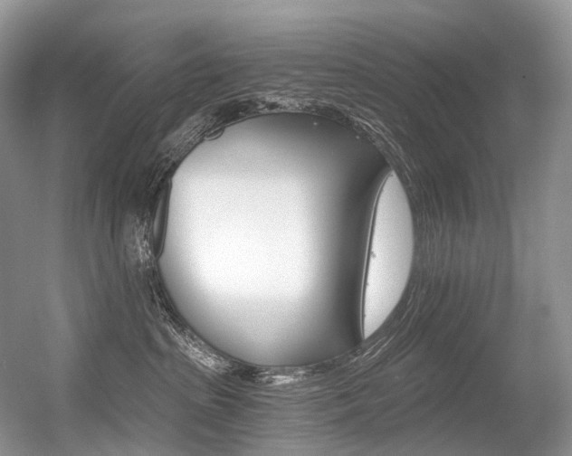 X0000056360285200508260954