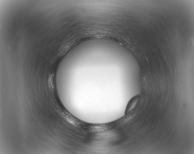 X0000056360286200508260954