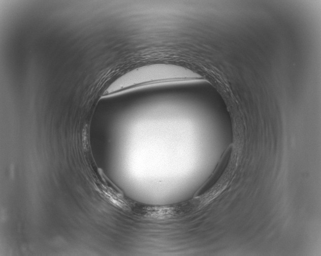 X0000056360288200508260954
