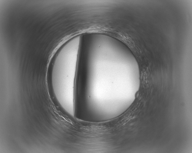 X0000056360292200508260953
