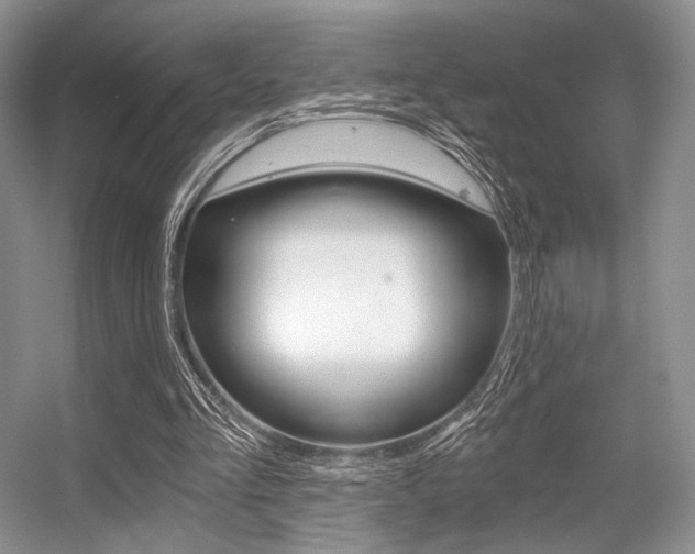 X0000056360293200508260953