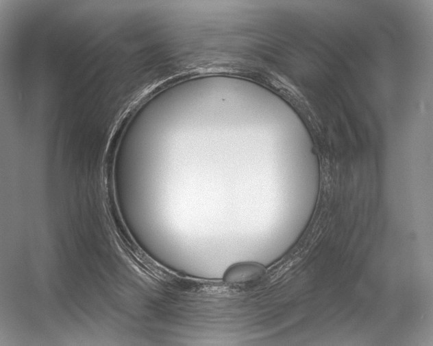 X0000056360298200508260953