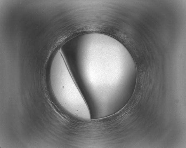 X0000056360299200508260953