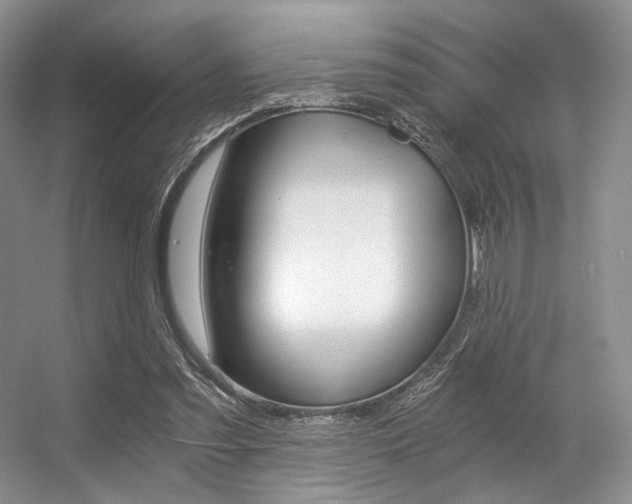 X0000056360301200508260953