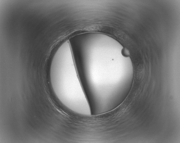 X0000056360303200508260953
