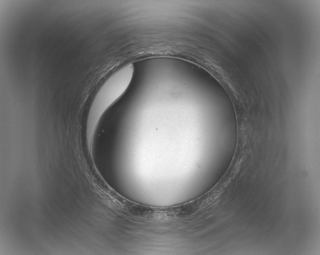 X0000056360305200508260953
