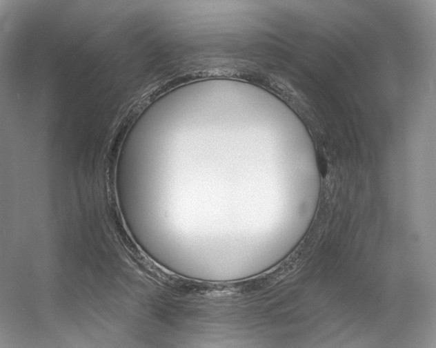 X0000056360306200508260953