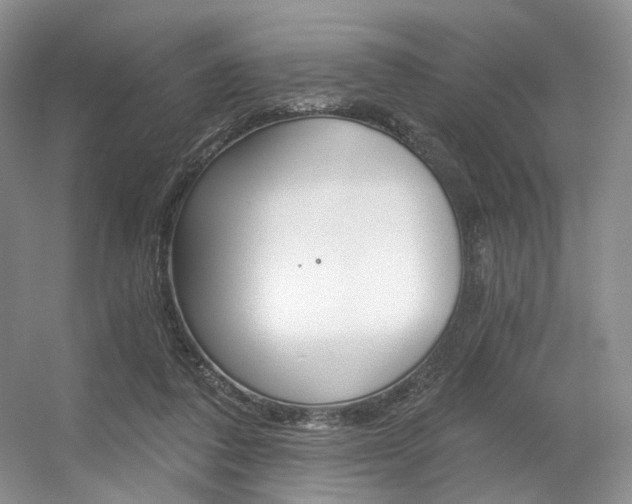 X0000056360308200508260953