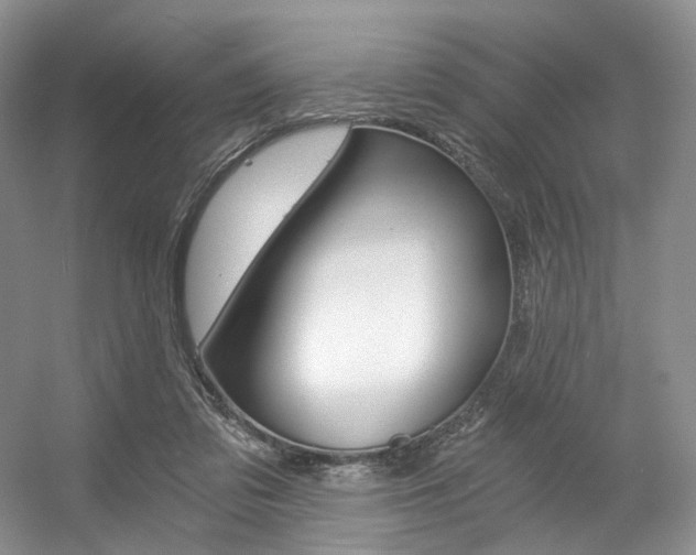 X0000056360309200508260953