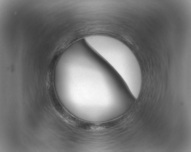 X0000056360311200508260953
