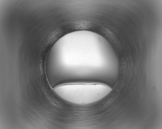 X0000056360312200508260953