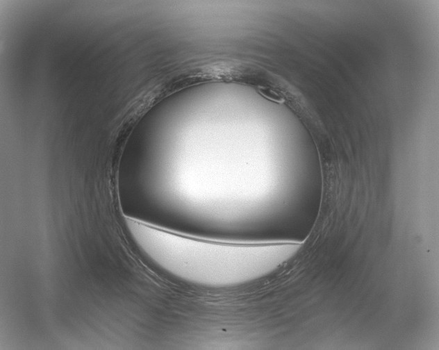 X0000056360313200508260953
