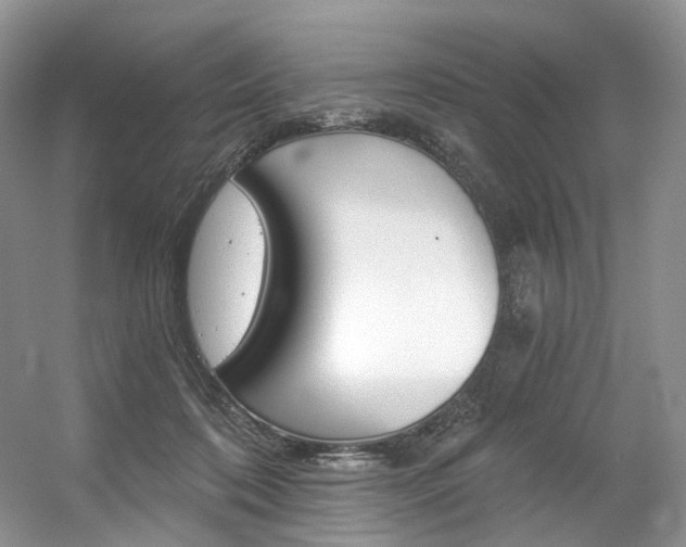X0000056360316200508260953
