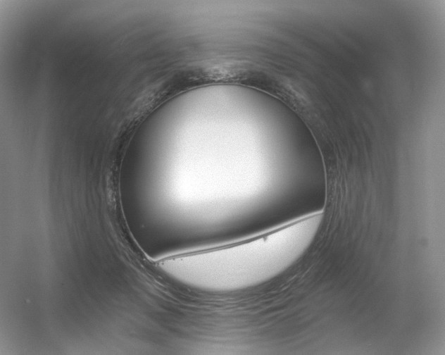 X0000056360317200508260953