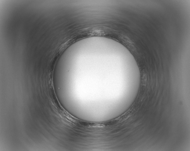 X0000056360318200508260953
