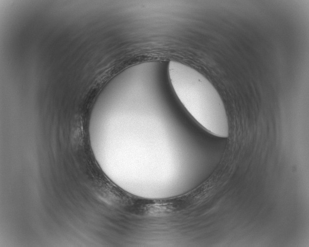 X0000056360320200508260953