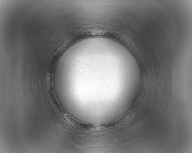 X0000056360321200508260953