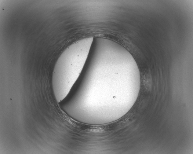 X0000056360322200508260953