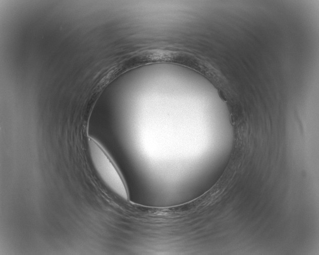 X0000056360325200508260953