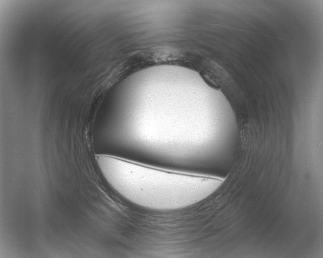 X0000056360327200508260952