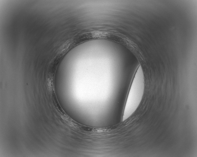 X0000056360329200508260952