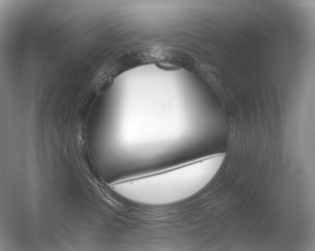 X0000056360331200508260952