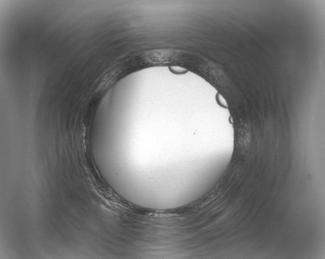 X0000056360332200508260952