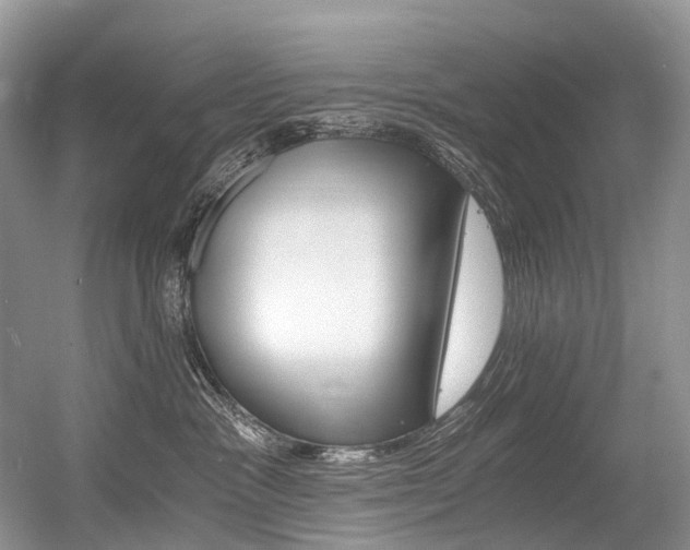 X0000056360333200508260952