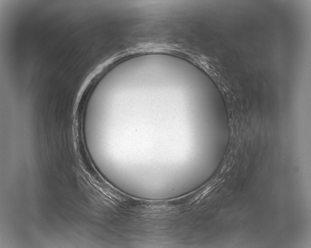 X0000056360342200508260952