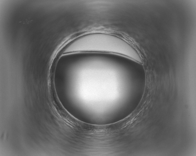 X0000056360344200508260952