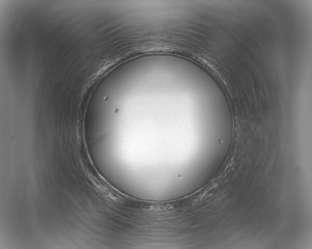 X0000056360345200508260952