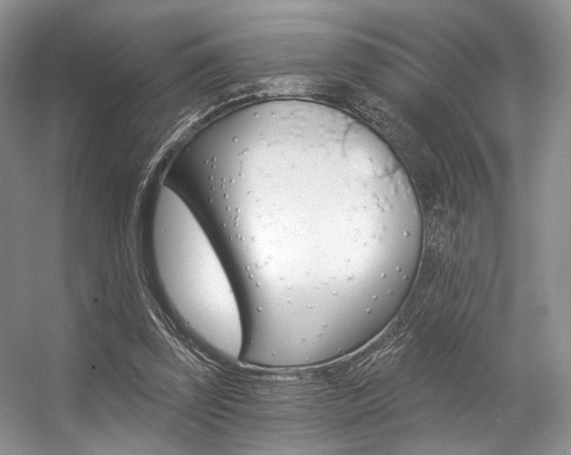 X0000056360347200508260952