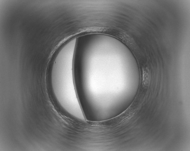 X0000056360348200508260952